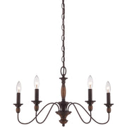 Quoizel HK5005TC Holbrook Five Light Chandelier, Tuscan Brown Alternate Image 3.jpg