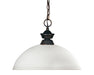 Z-Lite 100701OB-DMO14 Riviera One Light Pendant, Olde Bronze Main Image.jpg