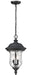 Z-Lite 533CHM-BK Armstrong Two Light Outdoor Chain Mount Ceiling Fixture, Black Main Image.jpg