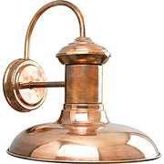 Progress P5723-14 Brookside Collection One-Light Large Wall Lantern Alternate Image.jpg