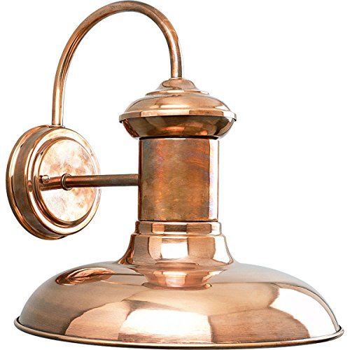 Progress P5723-14 Brookside Collection One-Light Large Wall Lantern Alternate Image.jpg