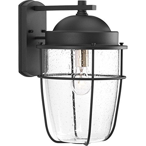 Progress P560067-031 Holcombe Large Wall Lantern Alternate Image.jpg