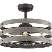 Progress P250012-143-22 Gulliver 23" 3-blade fandelier with LED lights Alternate Image.jpg