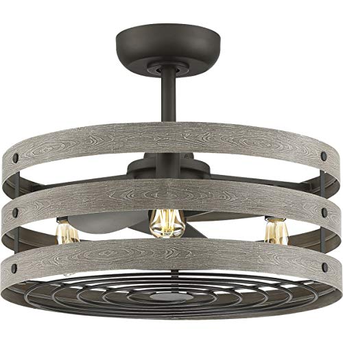 Progress P250012-143-22 Gulliver 23" 3-blade fandelier with LED lights Alternate Image.jpg