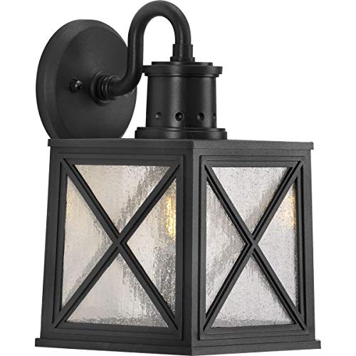 Progress P560164-031 Seagrove Collection  One-Light Medium Wall Lantern with DURASHIELD Alternate Image.jpg