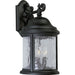 Progress P5650-31 Ashmore Collection Three-Light Wall Lantern Alternate Image.jpg