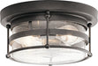 Kichler 49965AVI Mill Lane Two Light Outdoor Ceiling Mount, Anvil Iron Alternate Image.jpg