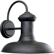 Progress P5723-71 Brookside Collection One-Light Large Wall Lantern Alternate Image.jpg