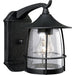 Progress P5763-71 Prairie Collection One-Light Medium Wall Lantern Alternate Image.jpg