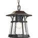 Progress P5579-84 Derby Collection One-Light Hanging Lantern Alternate Image.jpg