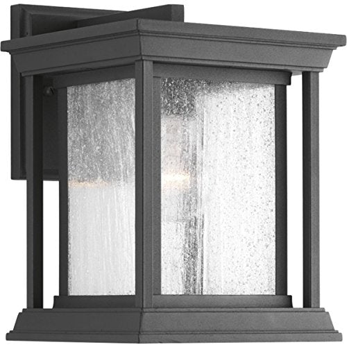 Progress P5605-31 Endicott Collection One-Light Small Wall Lantern Alternate Image.jpg