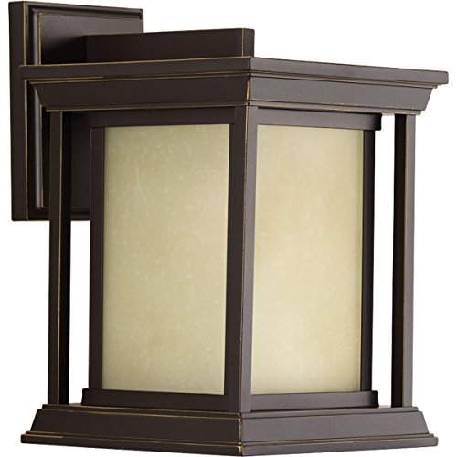 Progress P5605-20 Endicott Collection One-Light Small Wall Lantern Alternate Image.jpg