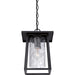 Quoizel LDG1909K Lodge One Light Outdoor Hanging Lantern, Mystic Black Alternate Image 3.jpg