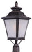 Maxim 1120FSBZ Knoxville One Light Outdoor Pole/Post Lantern, Bronze Main Image.jpg