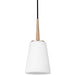 Generation Lighting 6140401-848 Driscoll One Light Mini-Pendant, Satin Brass Main Image.jpg
