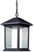 Z-Lite 523CHB Mesa One Light Outdoor Chain Mount Ceiling Fixture, Black Main Image.jpg