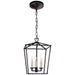 Darlana Three Light Lantern, Aged Iron Main Image.jpg
