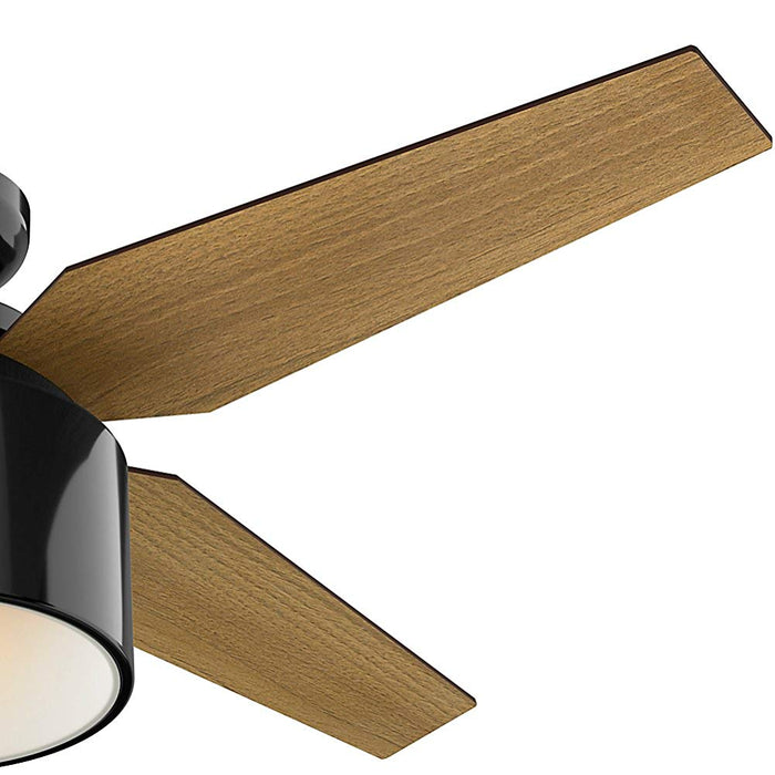 Hunter 59259 Cranbrook 52" Ceiling Fan, Gloss Black Alternate Image 3.jpg