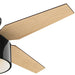 Hunter 59259 Cranbrook 52" Ceiling Fan, Gloss Black Alternate Image 2.jpg