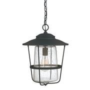 Capital Lighting 9604BK Creekside One Light Outdoor Hanging Lantern, Black Main Image.jpg