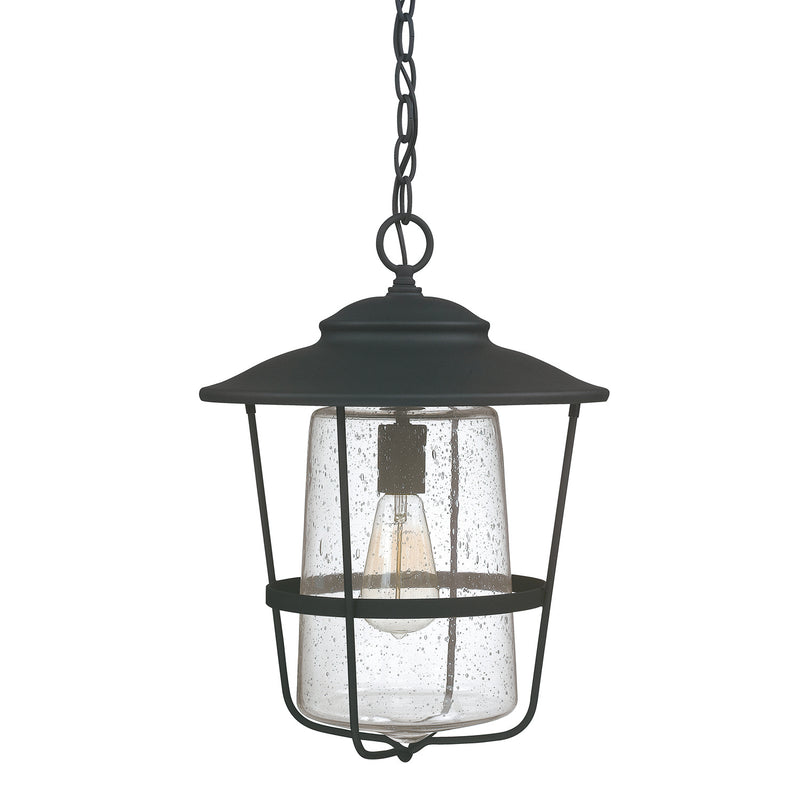 Capital Lighting 9604BK Creekside One Light Outdoor Hanging Lantern, Black Main Image.jpg
