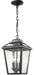 Z-Lite 539CHM-BK Bayland Three Light Outdoor Chain Mount Ceiling Fixture, Black Main Image.jpg