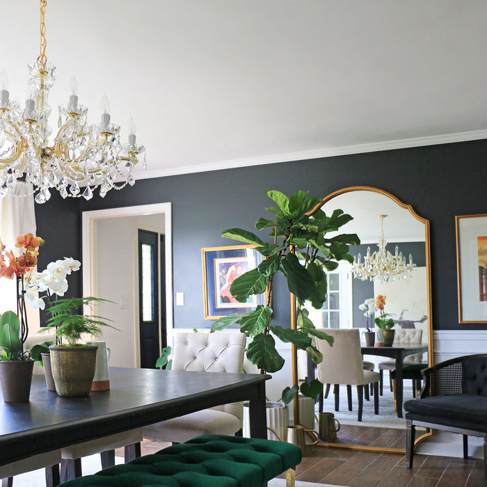 Alternate Image 6.jpg