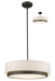 Z-Lite 196-22 Jade Three Light Pendant, Factory Bronze Main Image.jpg