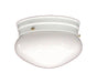 Capital Lighting 5356WH Independent One Light Flush Mount, White Main Image.jpg