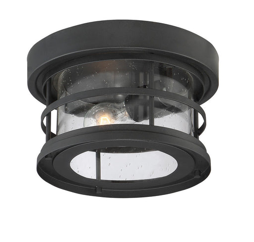 Savoy House 5-369-10-BK One Light Flush Mount, Black (2)