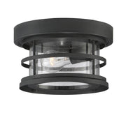 Savoy House 5-369-10-BK One Light Flush Mount, Black