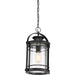 Quoizel BKR1910K Booker One Light Outdoor Hanging Lantern, Mystic Black Alternate Image.jpg