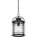 Quoizel BKR1910K Booker One Light Outdoor Hanging Lantern, Mystic Black Alternate Image 3.jpg