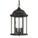 Capital Lighting 9836OB Main Street Three Light Outdoor Hanging Lantern, Old Bronze Main Image.jpg