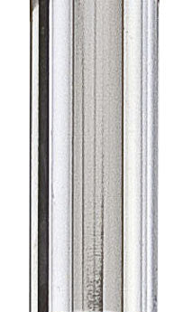 Fanimation DR1-18PN Downrods 18in Downrod Polished Nickel Main Image.jpg