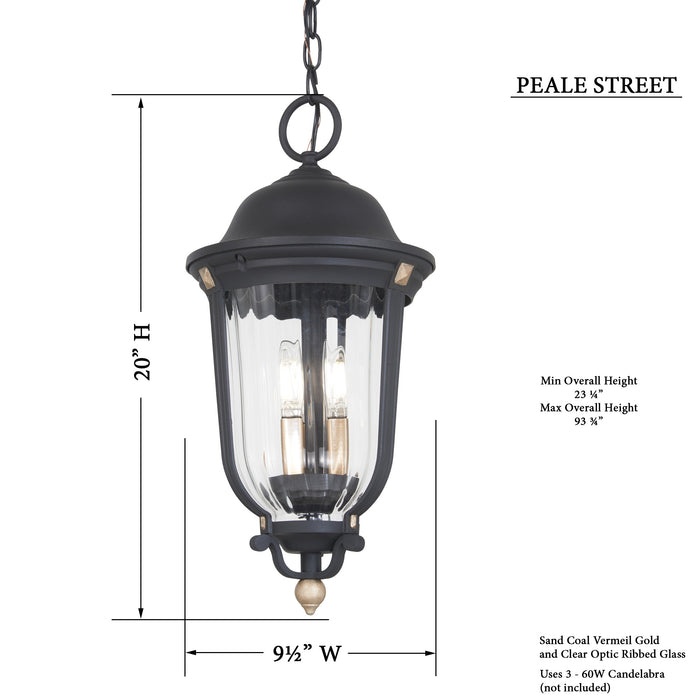 Minka-Lavery 73236-738 Peale Street Three Light Outdoor Chain Hung, Sand Coal And Vermeil Gold Alternate Image.jpg