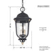 Minka-Lavery 73236-738 Peale Street Three Light Outdoor Chain Hung, Sand Coal And Vermeil Gold Alternate Image.jpg