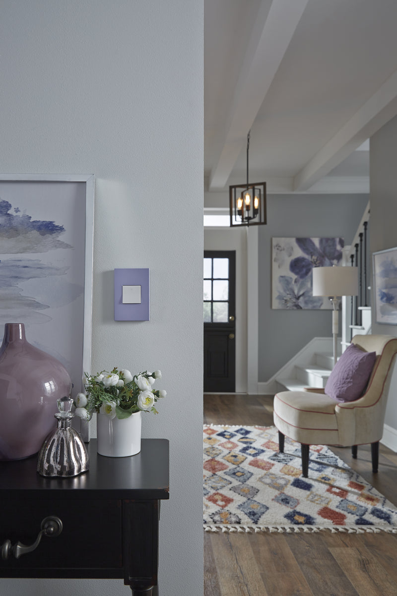 adorne® ASPD1532W4 15A Paddle Switch, White, with Microban® Alternate Image.jpg