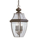 Generation Lighting 6039EN-71 Lancaster Three Light Outdoor Pendant, Antique Bronze Main Image.jpg