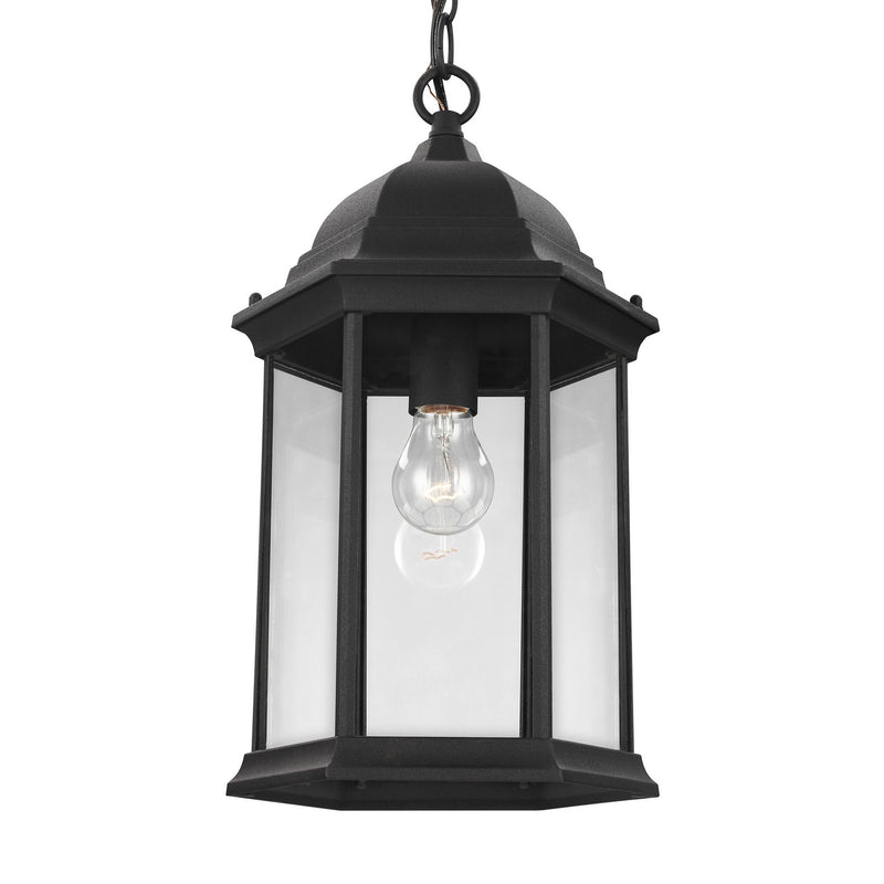 Generation Lighting 6238701-12 Sevier One Light Outdoor Pendant, Black Alternate Image.jpg