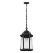 Generation Lighting 6238701-12 Sevier One Light Outdoor Pendant, Black Main Image.jpg