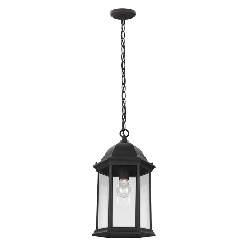 Generation Lighting 6238701-12 Sevier One Light Outdoor Pendant, Black Main Image.jpg