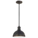 Generation Lighting 65085EN3-715 Pratt Street Metal One Light Pendant, Autumn Bronze Main Image.jpg