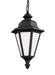 Generation Lighting 69025EN3-12 Brentwood One Light Outdoor Pendant, Black Main Image.jpg