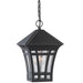 Generation Lighting 69131-12 Herrington One Light Outdoor Pendant, Black Main Image.jpg