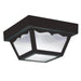 Generation Lighting 7567EN3-32 Outdoor Ceiling One Light Outdoor Flush Mount, Black Main Image.jpg