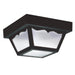 Generation Lighting 7569EN3-32 Outdoor Ceiling Two Light Outdoor Flush Mount, Black Main Image.jpg