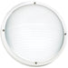 Generation Lighting 83057EN3-15 Bayside One Light Outdoor Wall / Ceiling Mount, White Main Image.jpg