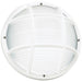 Generation Lighting 89807-15 Bayside One Light Outdoor Wall / Ceiling Mount, White Main Image.jpg