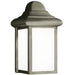 Generation Lighting 8788-155 Mullberry Hill One Light Outdoor Wall Lantern, Pewter Main Image.jpg